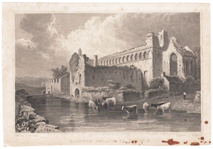 Bishops Palace St Davids